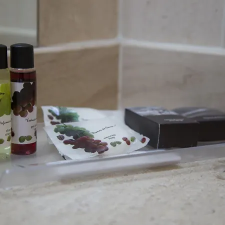 Regua Douro Ξενοδοχείο 4*