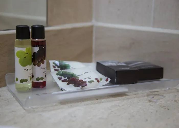 Ξενοδοχείο Regua Douro 4*